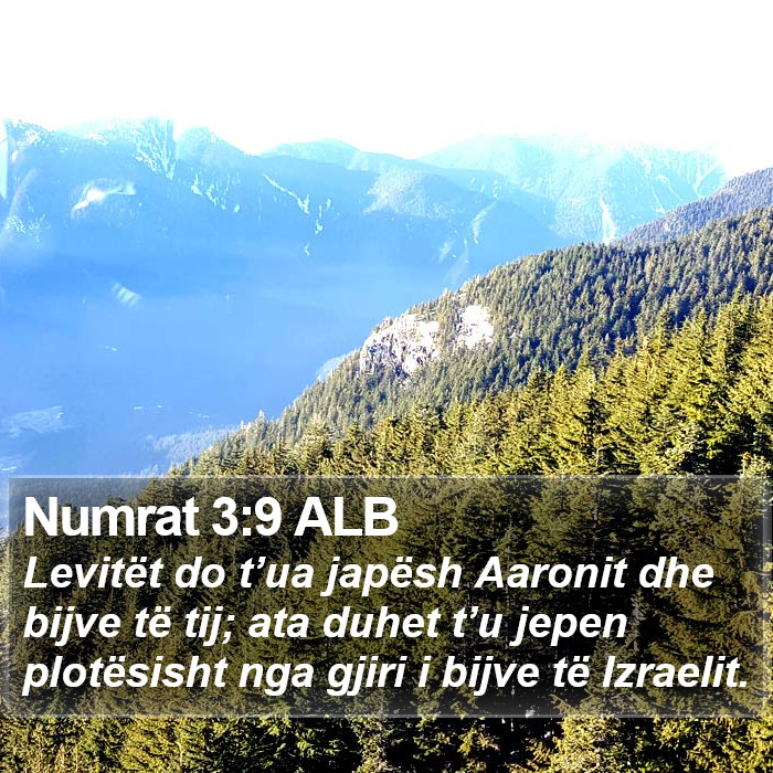 Numrat 3:9 ALB Bible Study