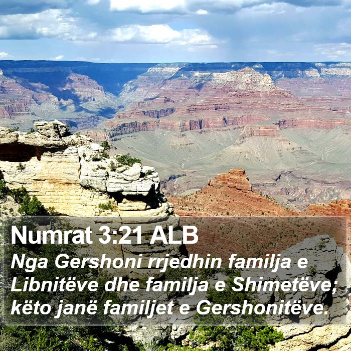 Numrat 3:21 ALB Bible Study