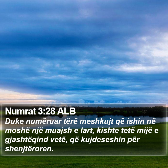 Numrat 3:28 ALB Bible Study