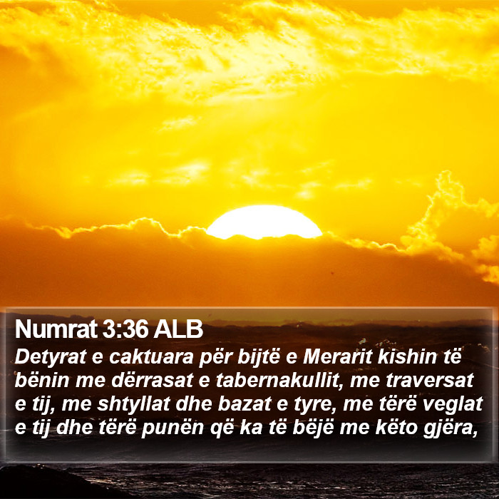 Numrat 3:36 ALB Bible Study