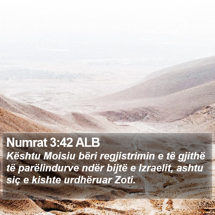 Numrat 3:42 ALB Bible Study