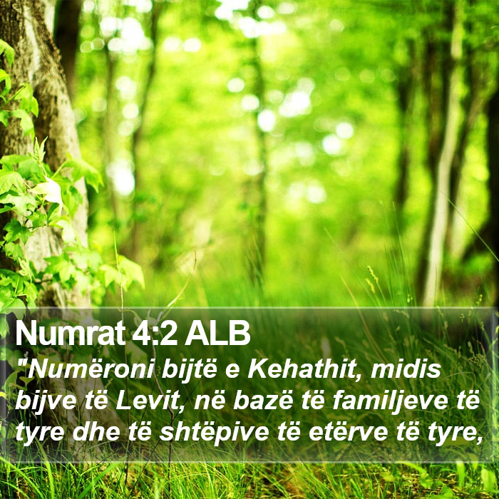 Numrat 4:2 ALB Bible Study