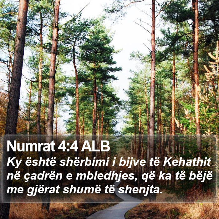 Numrat 4:4 ALB Bible Study
