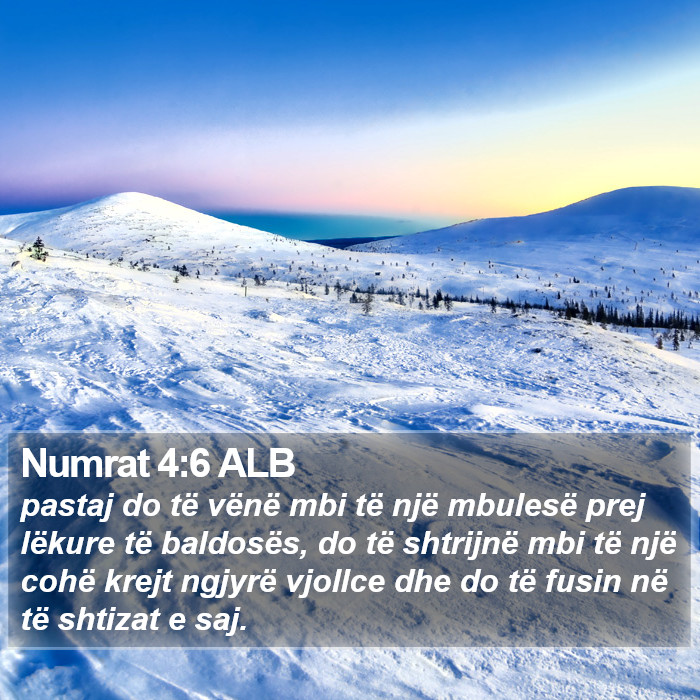 Numrat 4:6 ALB Bible Study