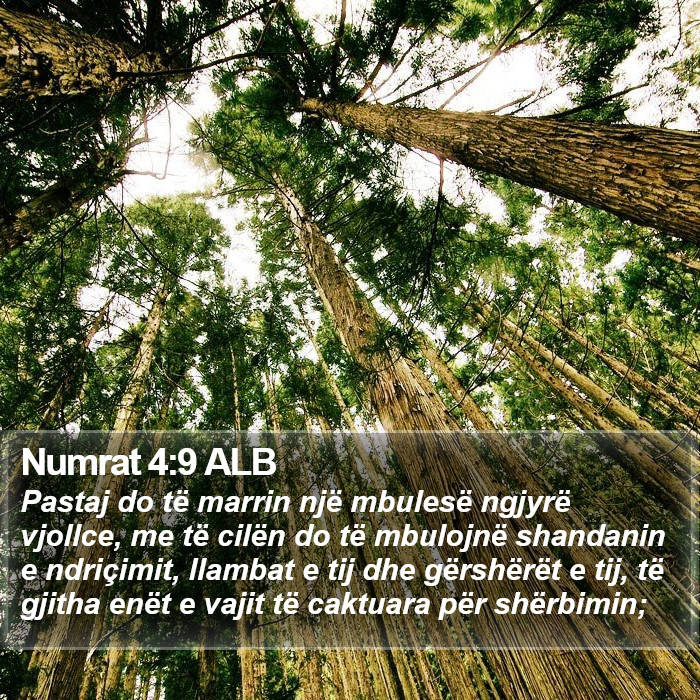 Numrat 4:9 ALB Bible Study