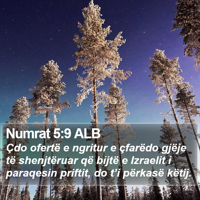 Numrat 5:9 ALB Bible Study