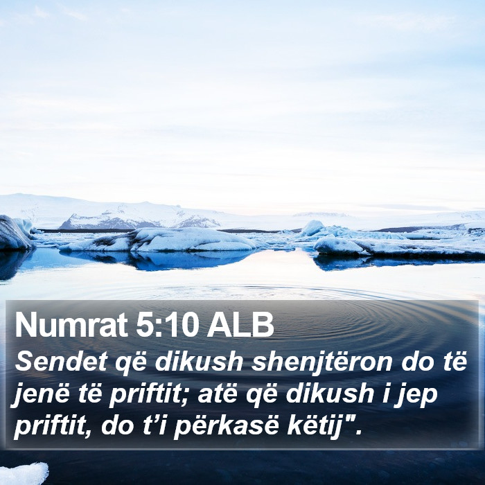 Numrat 5:10 ALB Bible Study