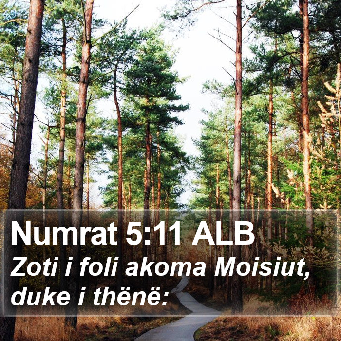 Numrat 5:11 ALB Bible Study