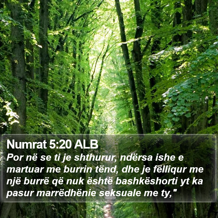 Numrat 5:20 ALB Bible Study