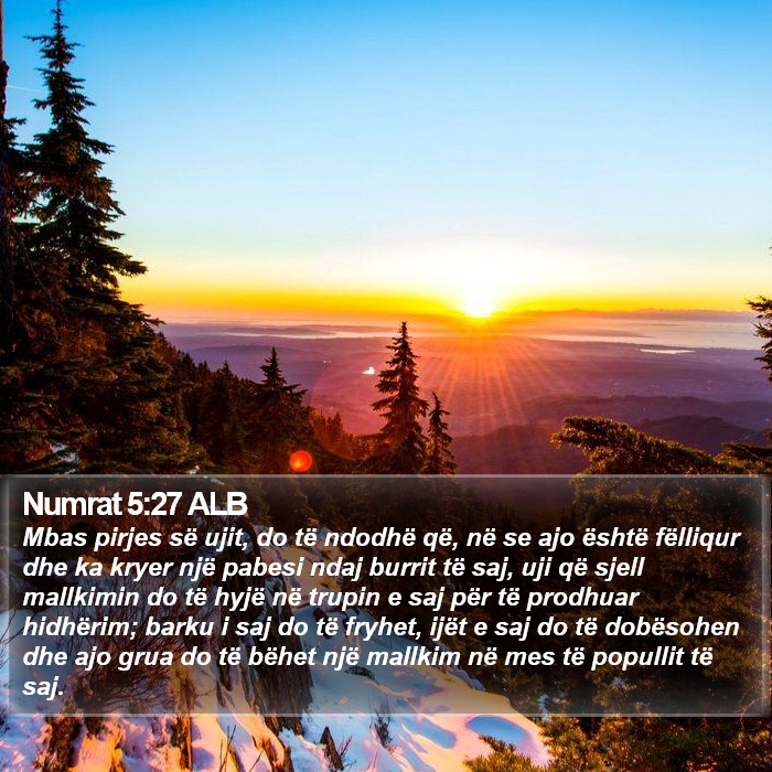 Numrat 5:27 ALB Bible Study