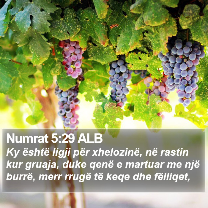 Numrat 5:29 ALB Bible Study