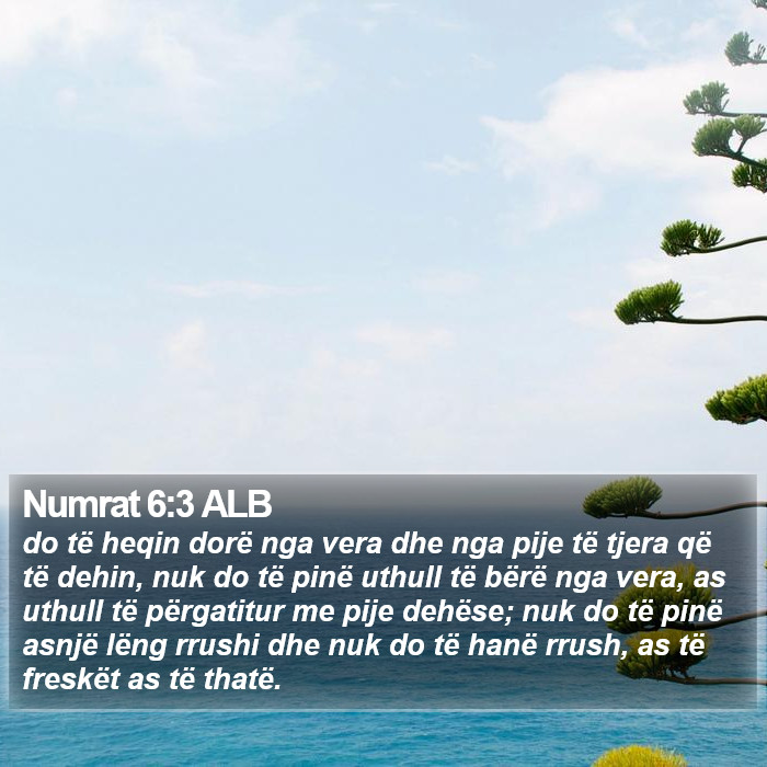 Numrat 6:3 ALB Bible Study