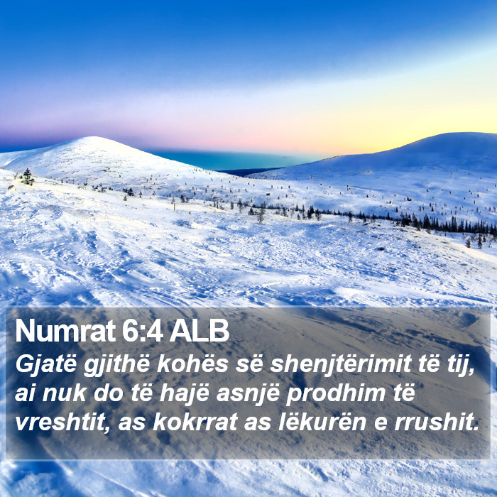 Numrat 6:4 ALB Bible Study