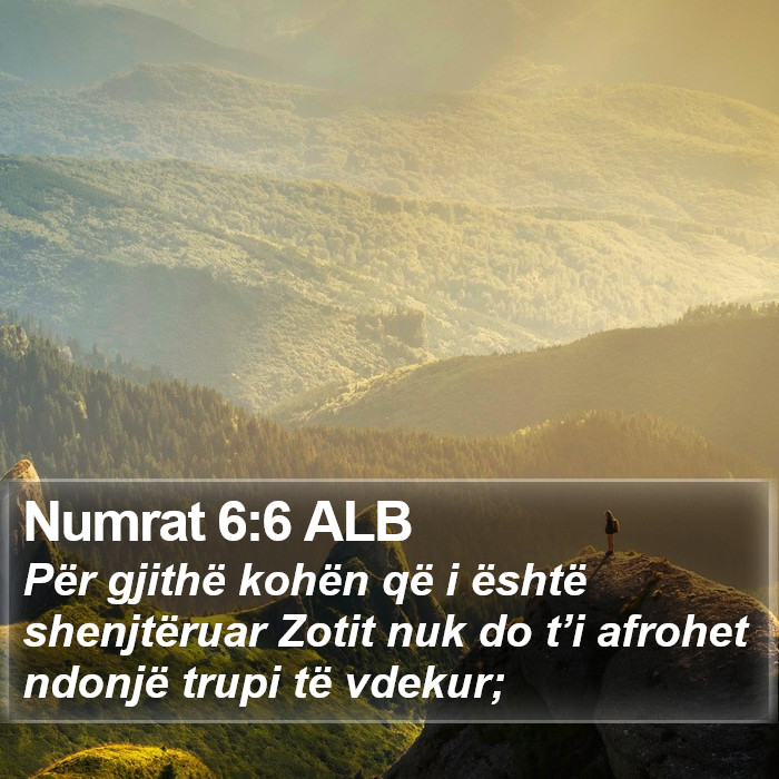 Numrat 6:6 ALB Bible Study