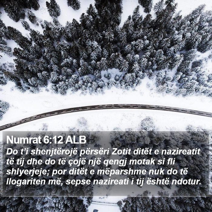 Numrat 6:12 ALB Bible Study