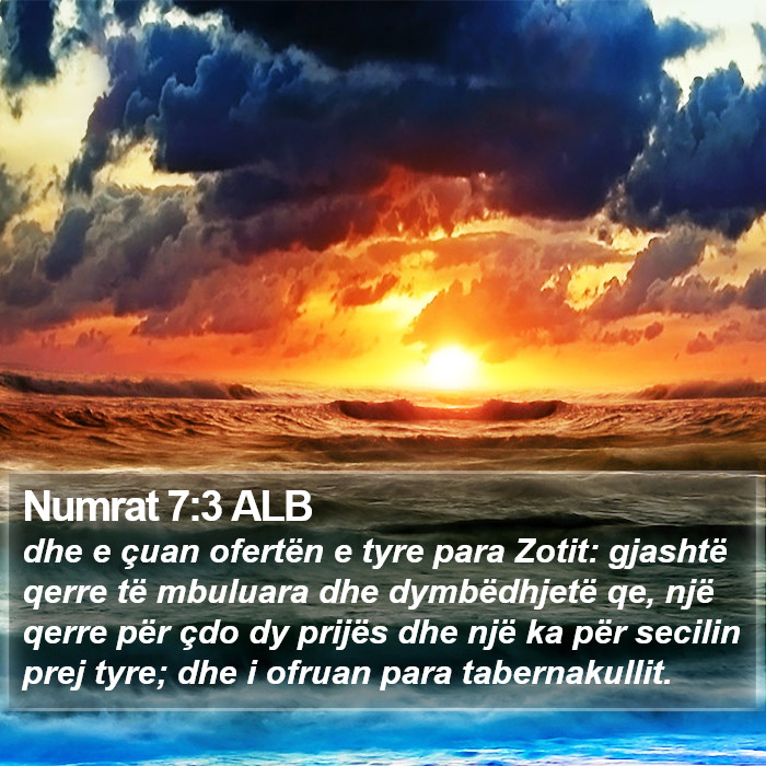 Numrat 7:3 ALB Bible Study