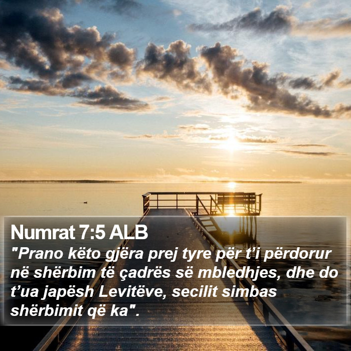 Numrat 7:5 ALB Bible Study