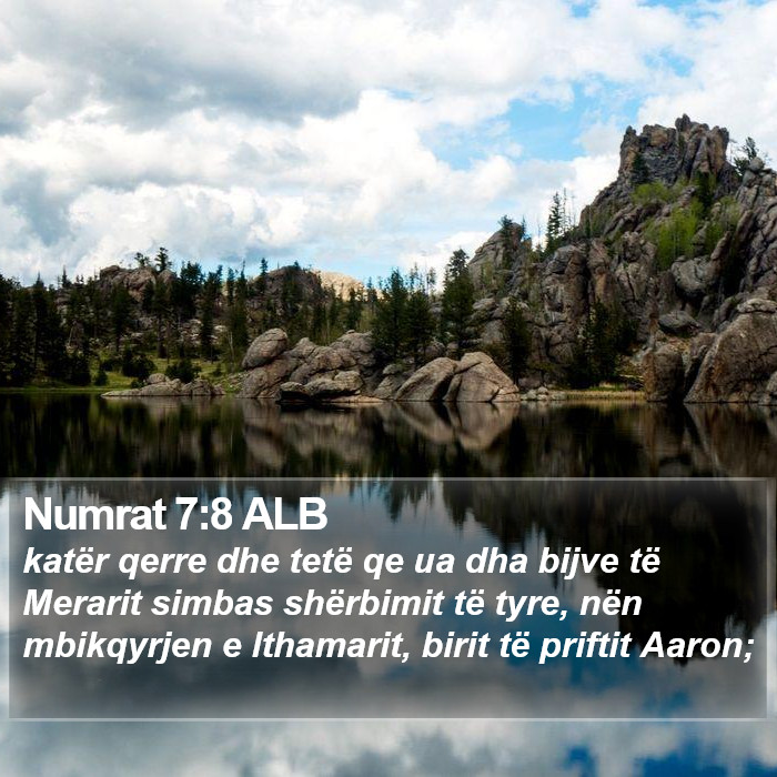 Numrat 7:8 ALB Bible Study