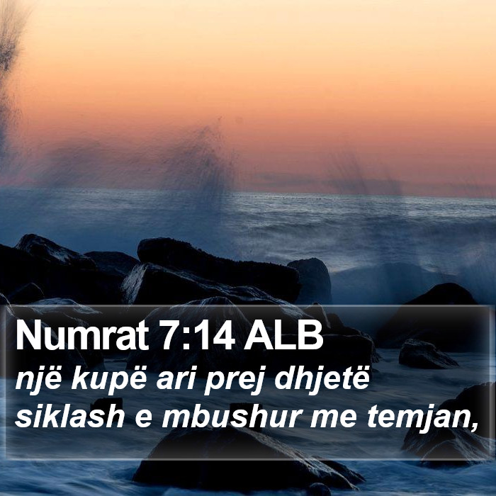 Numrat 7:14 ALB Bible Study