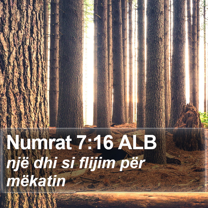 Numrat 7:16 ALB Bible Study