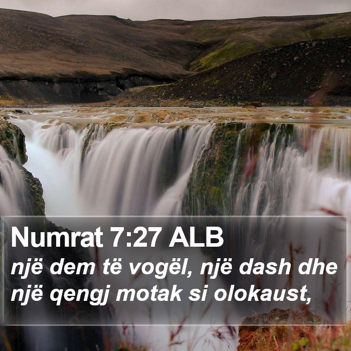 Numrat 7:27 ALB Bible Study