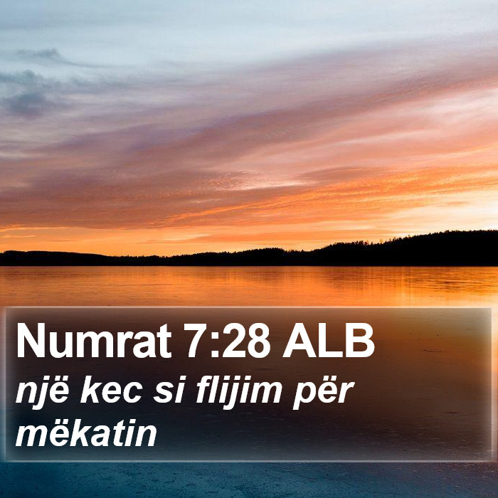 Numrat 7:28 ALB Bible Study