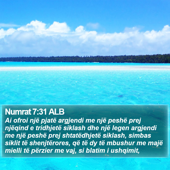 Numrat 7:31 ALB Bible Study