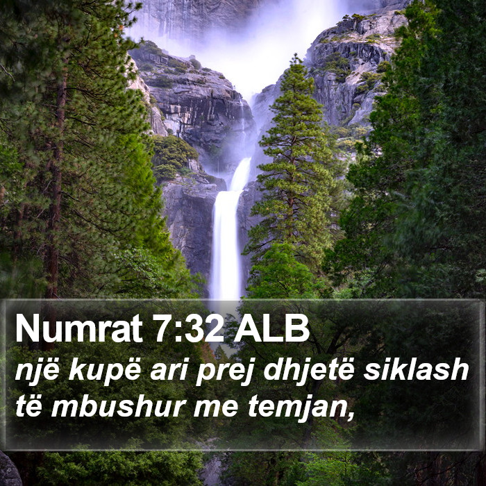 Numrat 7:32 ALB Bible Study