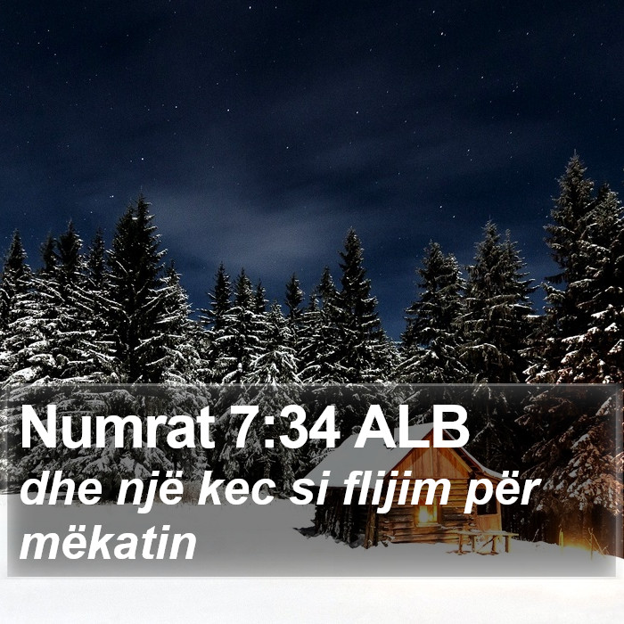 Numrat 7:34 ALB Bible Study