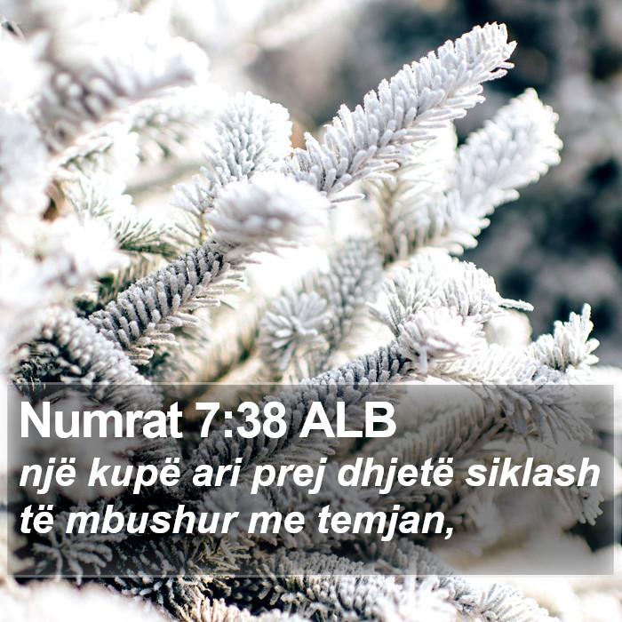 Numrat 7:38 ALB Bible Study