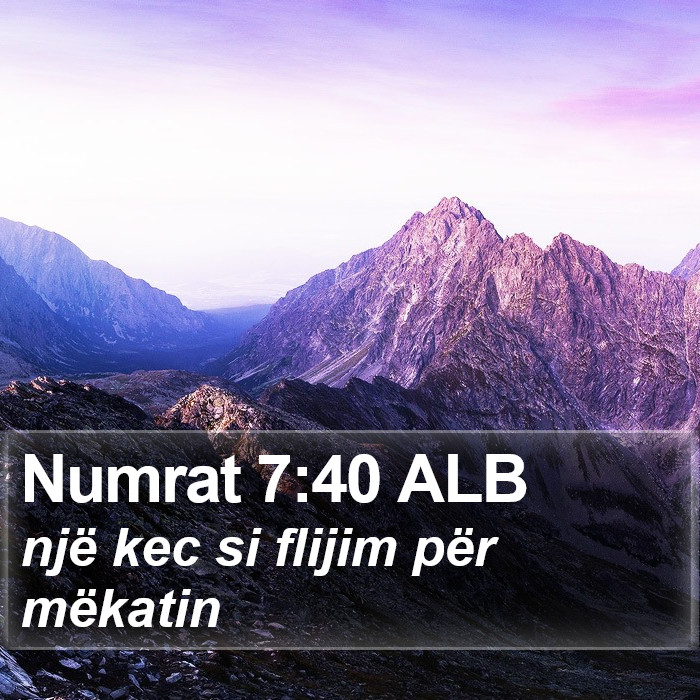 Numrat 7:40 ALB Bible Study