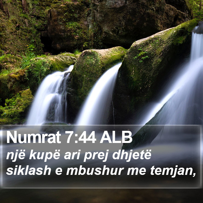 Numrat 7:44 ALB Bible Study