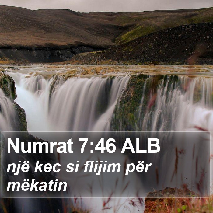 Numrat 7:46 ALB Bible Study