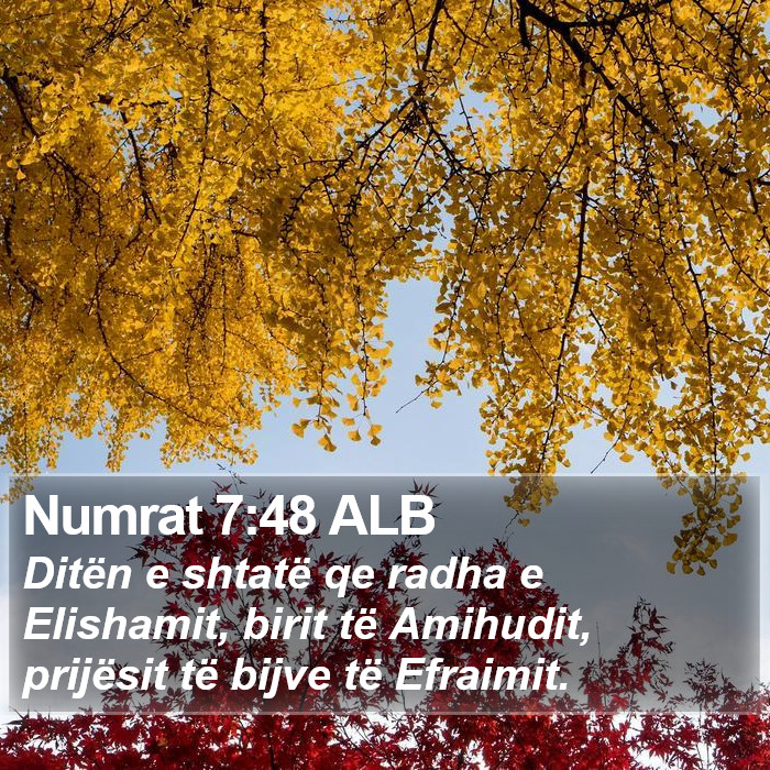 Numrat 7:48 ALB Bible Study