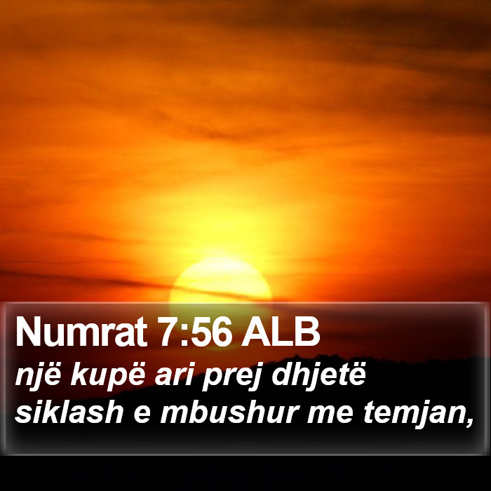 Numrat 7:56 ALB Bible Study