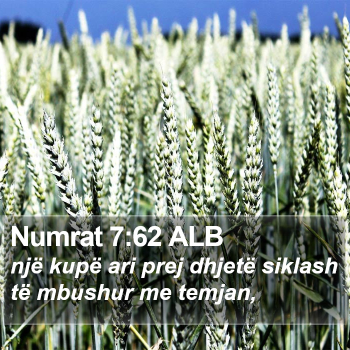 Numrat 7:62 ALB Bible Study