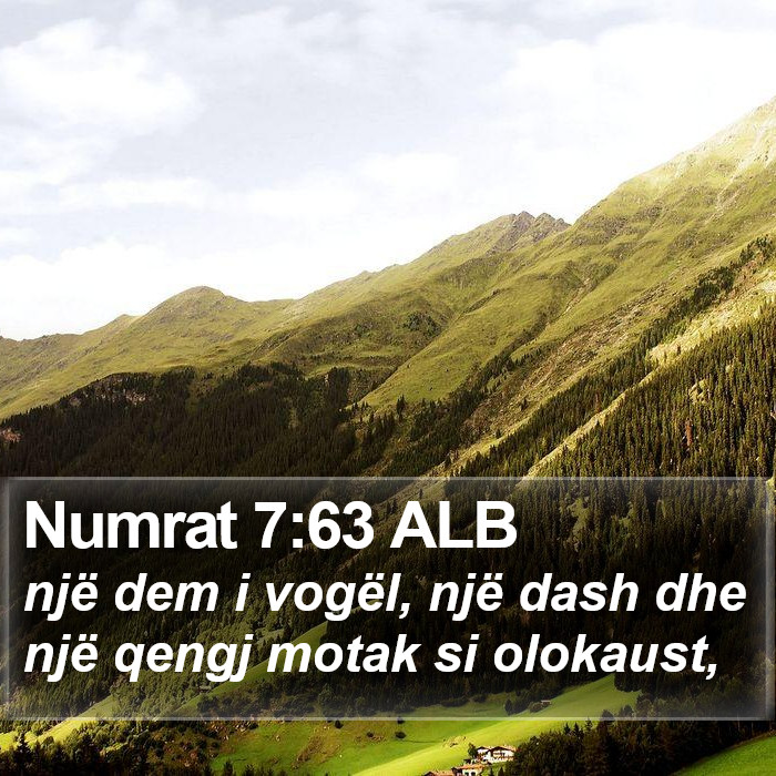 Numrat 7:63 ALB Bible Study