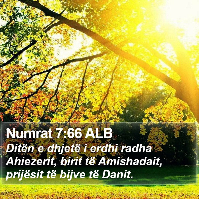 Numrat 7:66 ALB Bible Study