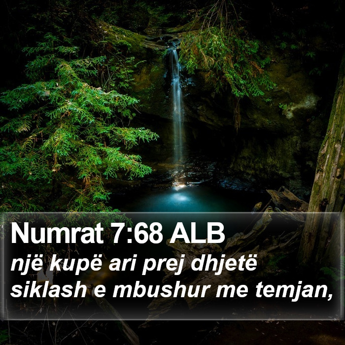 Numrat 7:68 ALB Bible Study