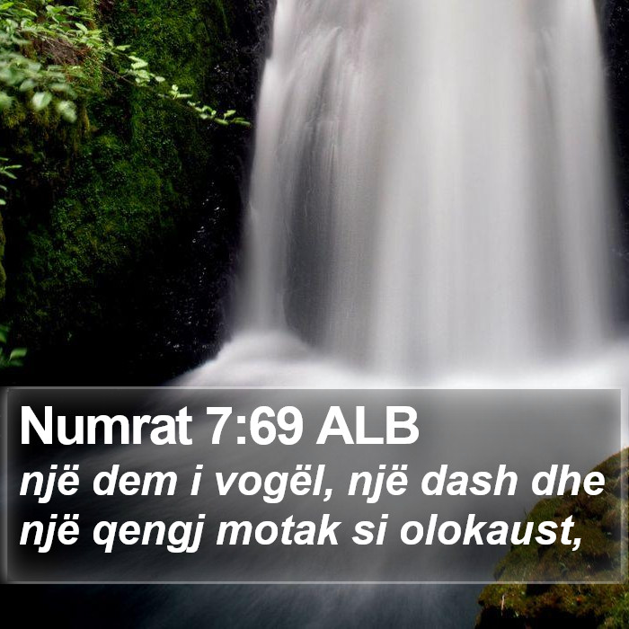 Numrat 7:69 ALB Bible Study