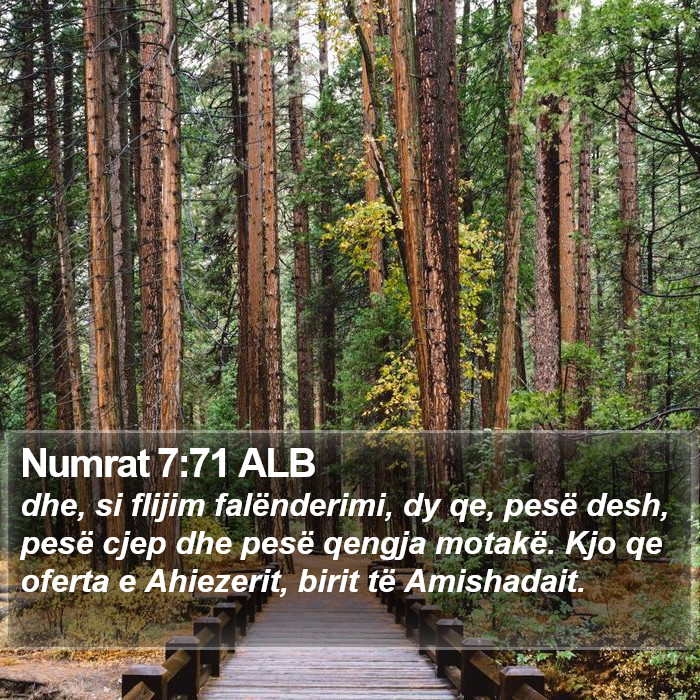 Numrat 7:71 ALB Bible Study