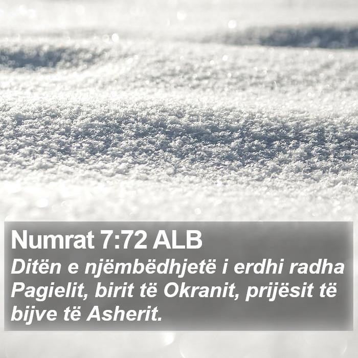 Numrat 7:72 ALB Bible Study