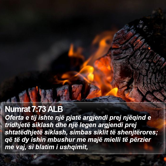 Numrat 7:73 ALB Bible Study