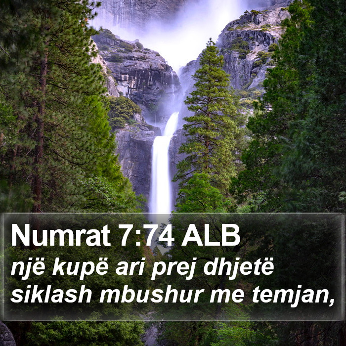 Numrat 7:74 ALB Bible Study