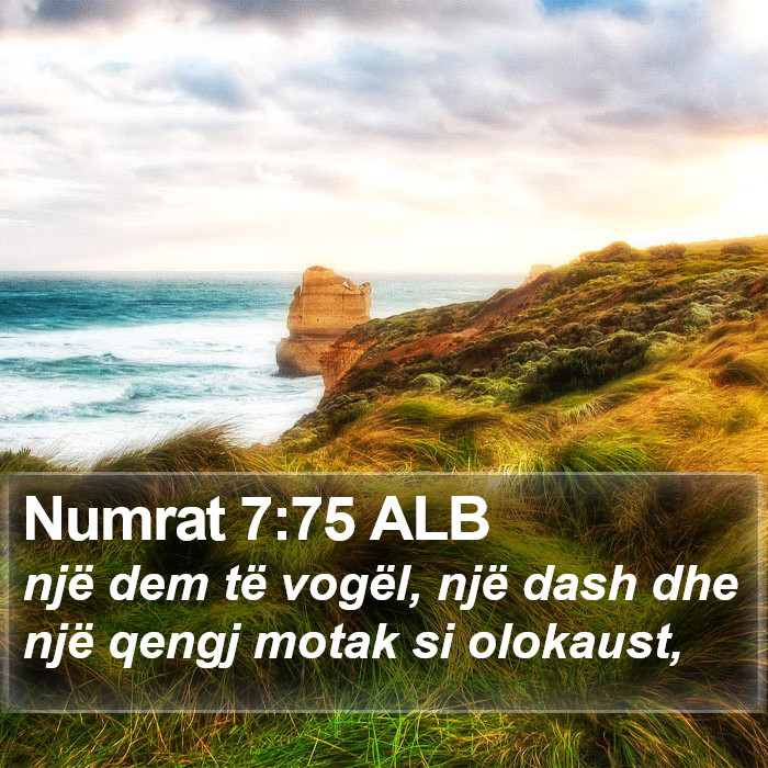 Numrat 7:75 ALB Bible Study