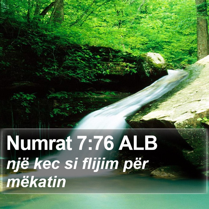 Numrat 7:76 ALB Bible Study