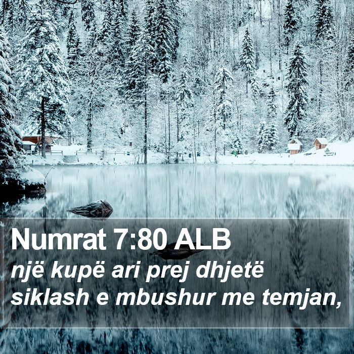 Numrat 7:80 ALB Bible Study