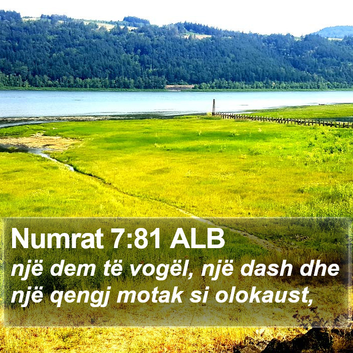 Numrat 7:81 ALB Bible Study