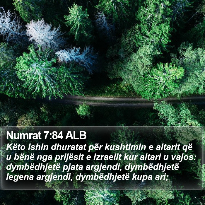 Numrat 7:84 ALB Bible Study