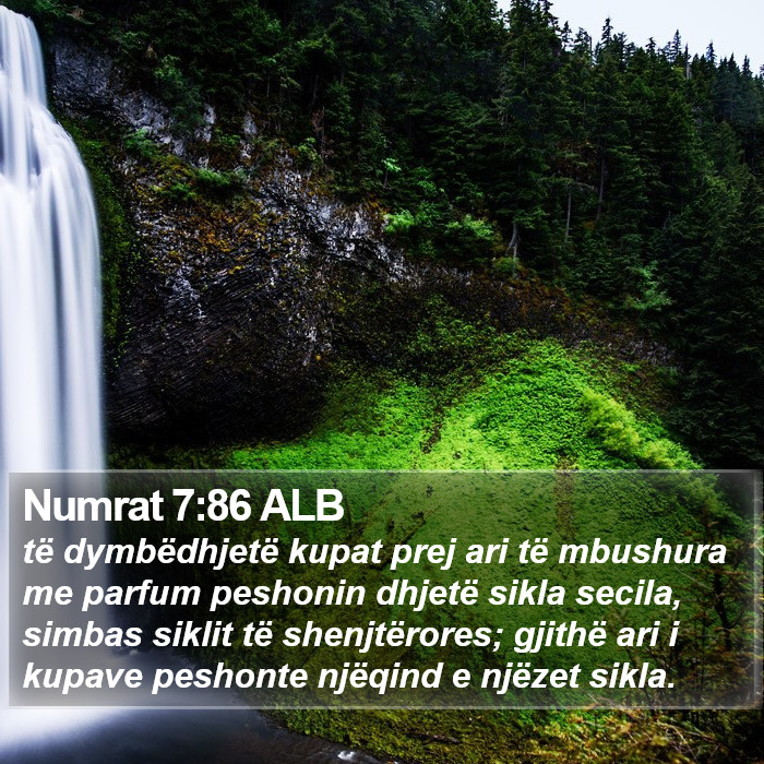 Numrat 7:86 ALB Bible Study